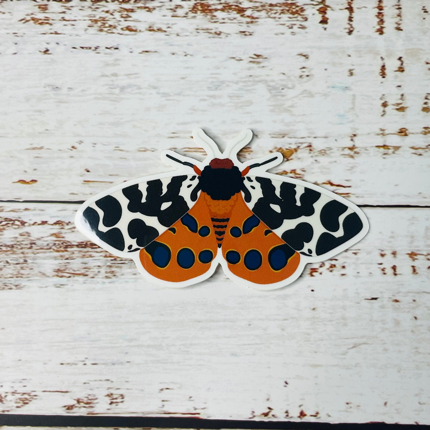 Garden Tiger Moth - Vinyl Sticker