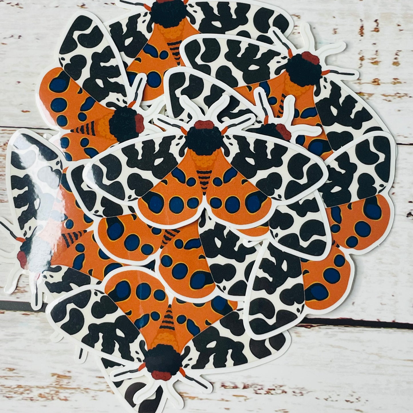 Garden Tiger Moth - Vinyl Sticker