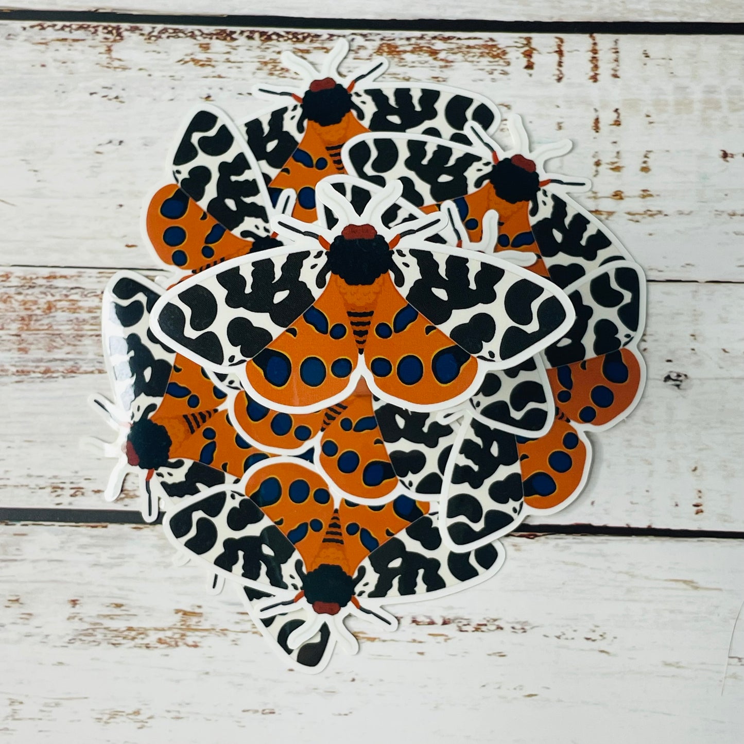 Garden Tiger Moth - Vinyl Sticker