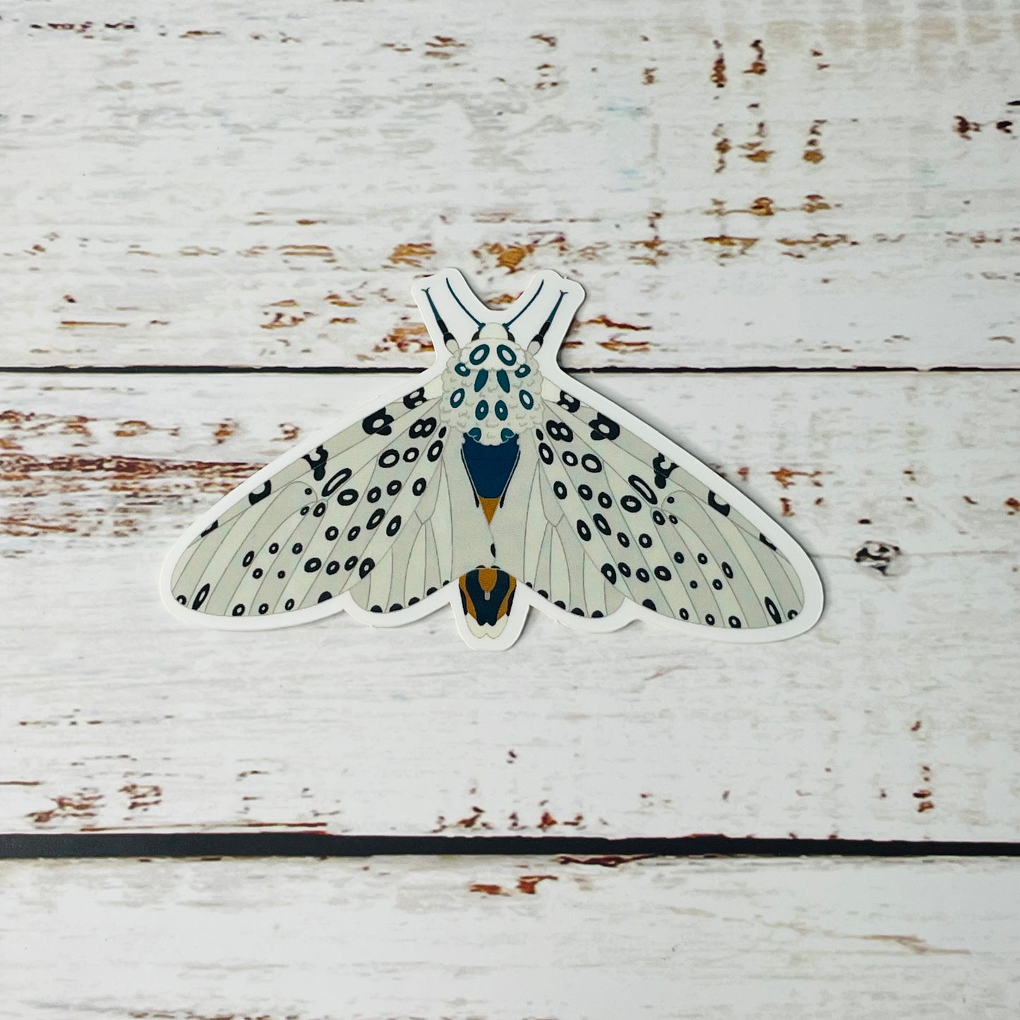 Giant Leopard Moth - Vinyl Sticker