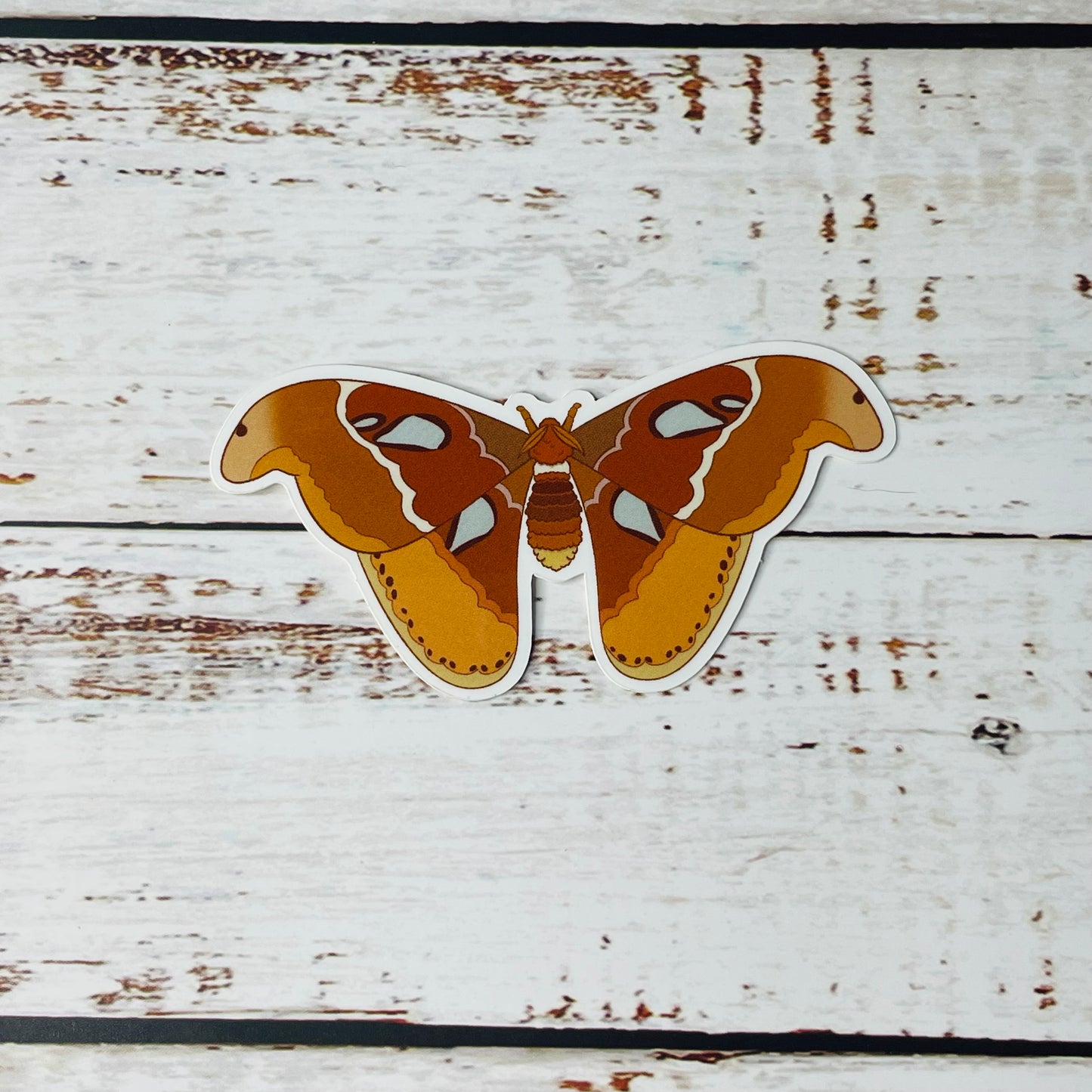 Atlas Moth - Vinyl Sticker