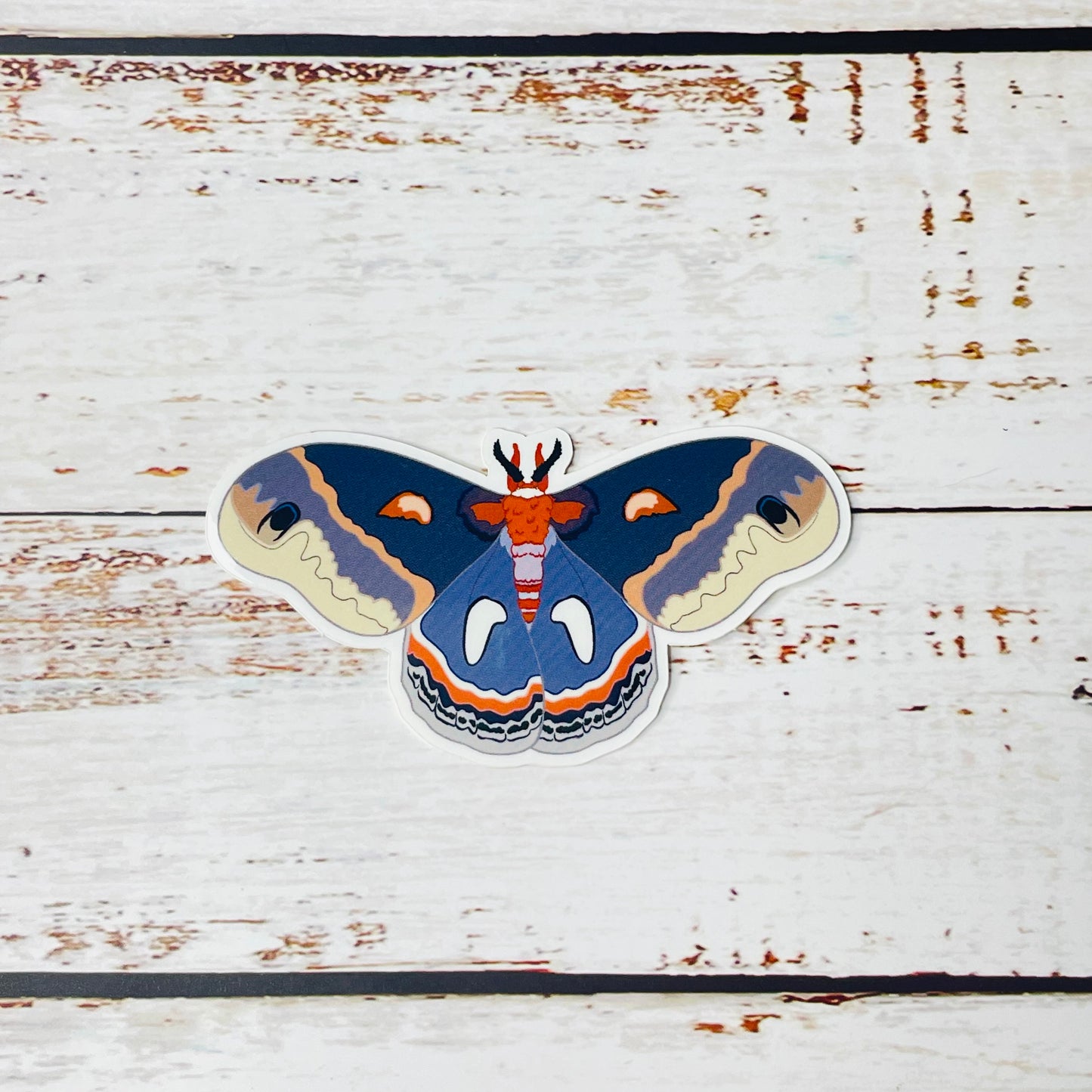 Cecropia Moth - Vinyl Sticker