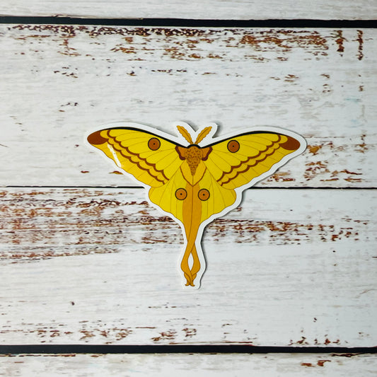 Comet Moth - Vinyl Sticker