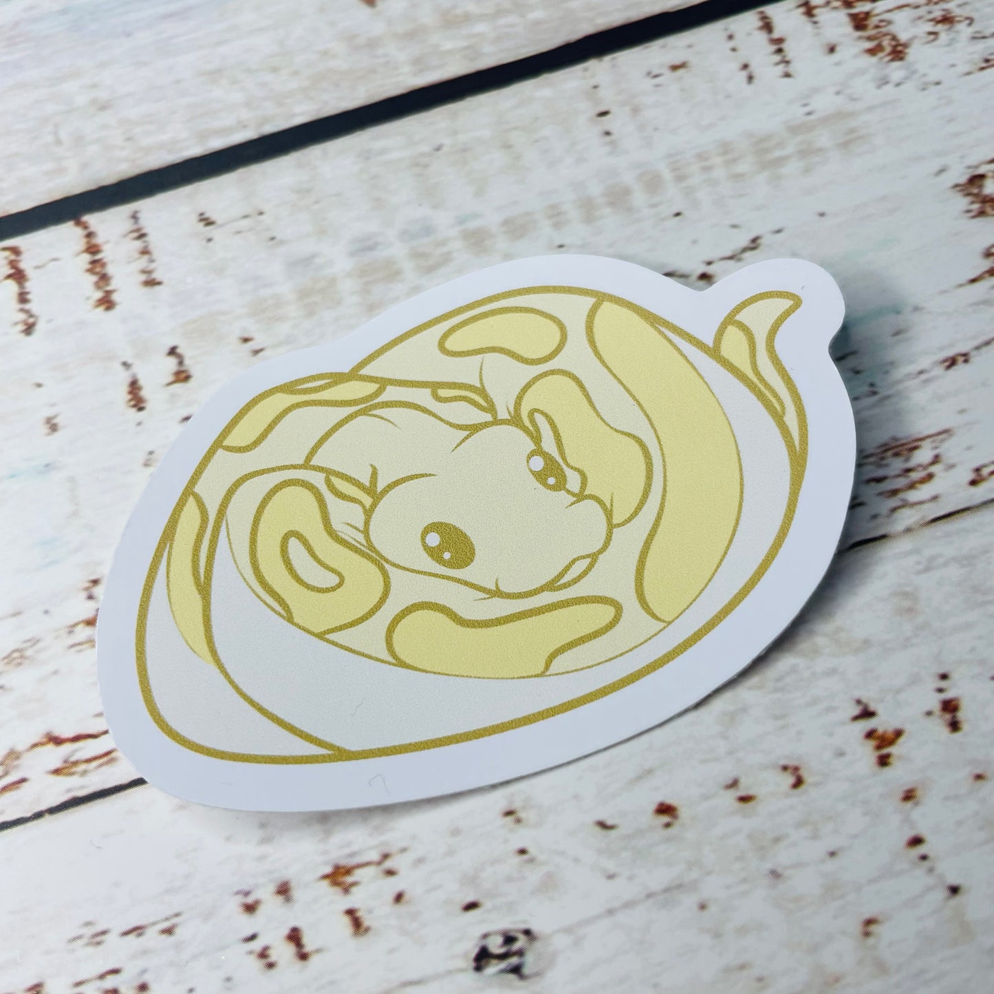 Banana Ball Python - Vinyl Sticker