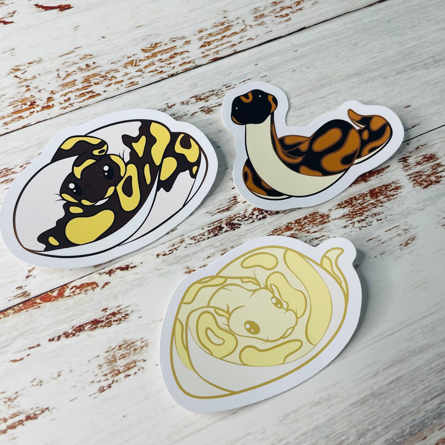 Ball Python Sticker Pack